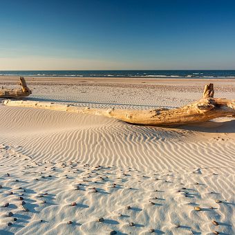 Piękne złociste plaże